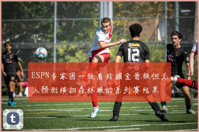 ESPN专家团一致看好掘金晋级但无人预测横扫森林狼的系列赛结果